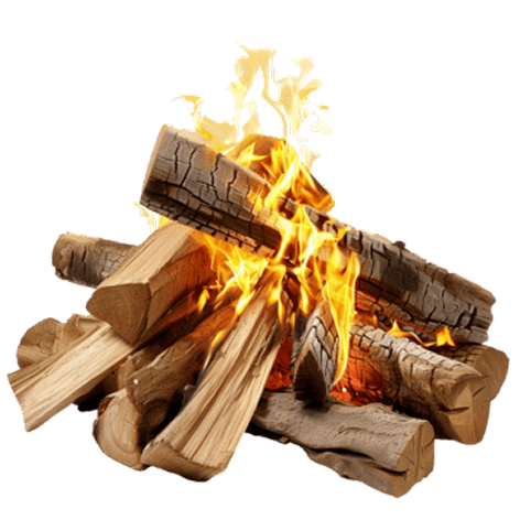 Palivové dřevo